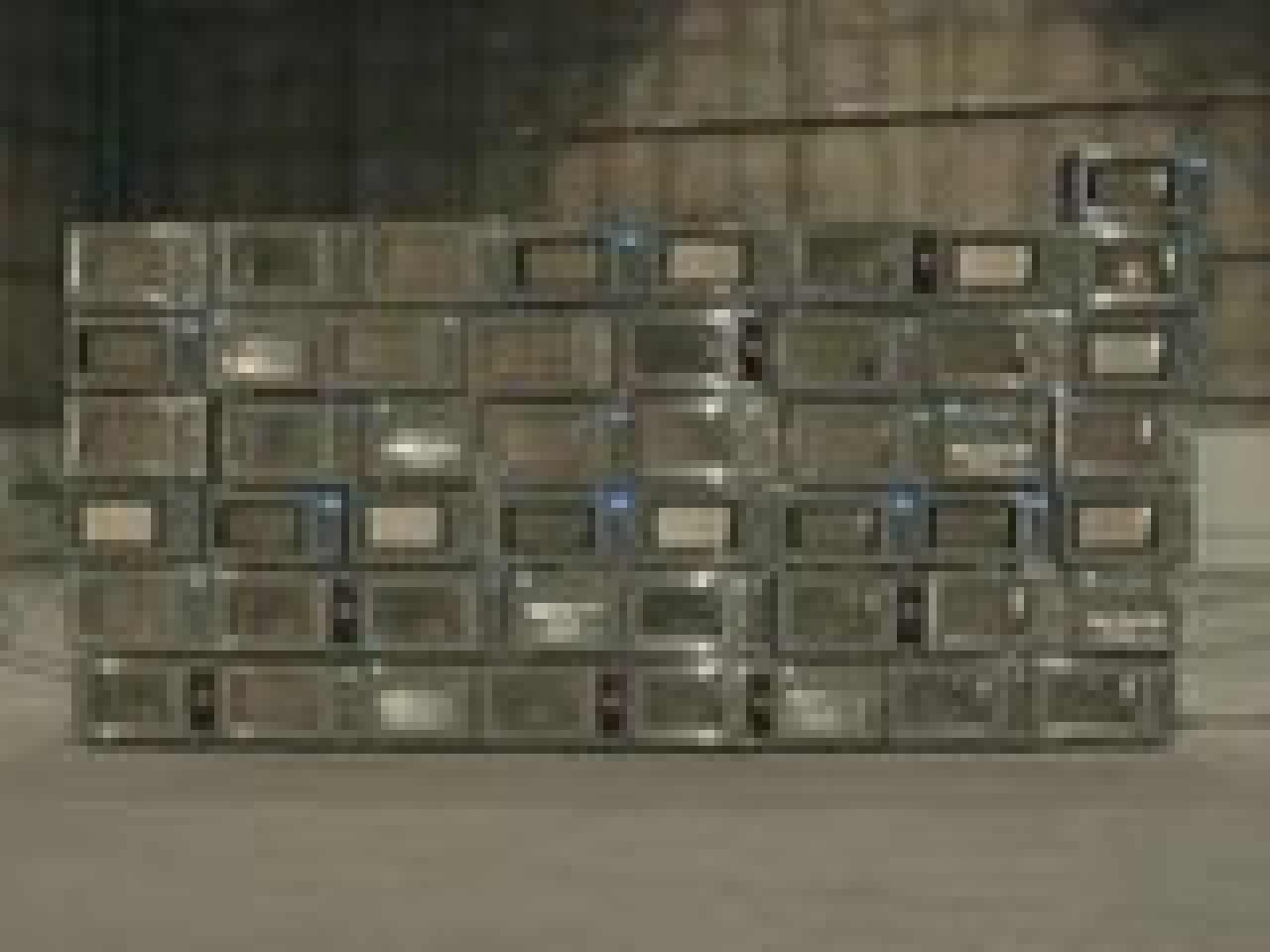 Le buzz du moment sur le net! Le buzz du moment sur le net!