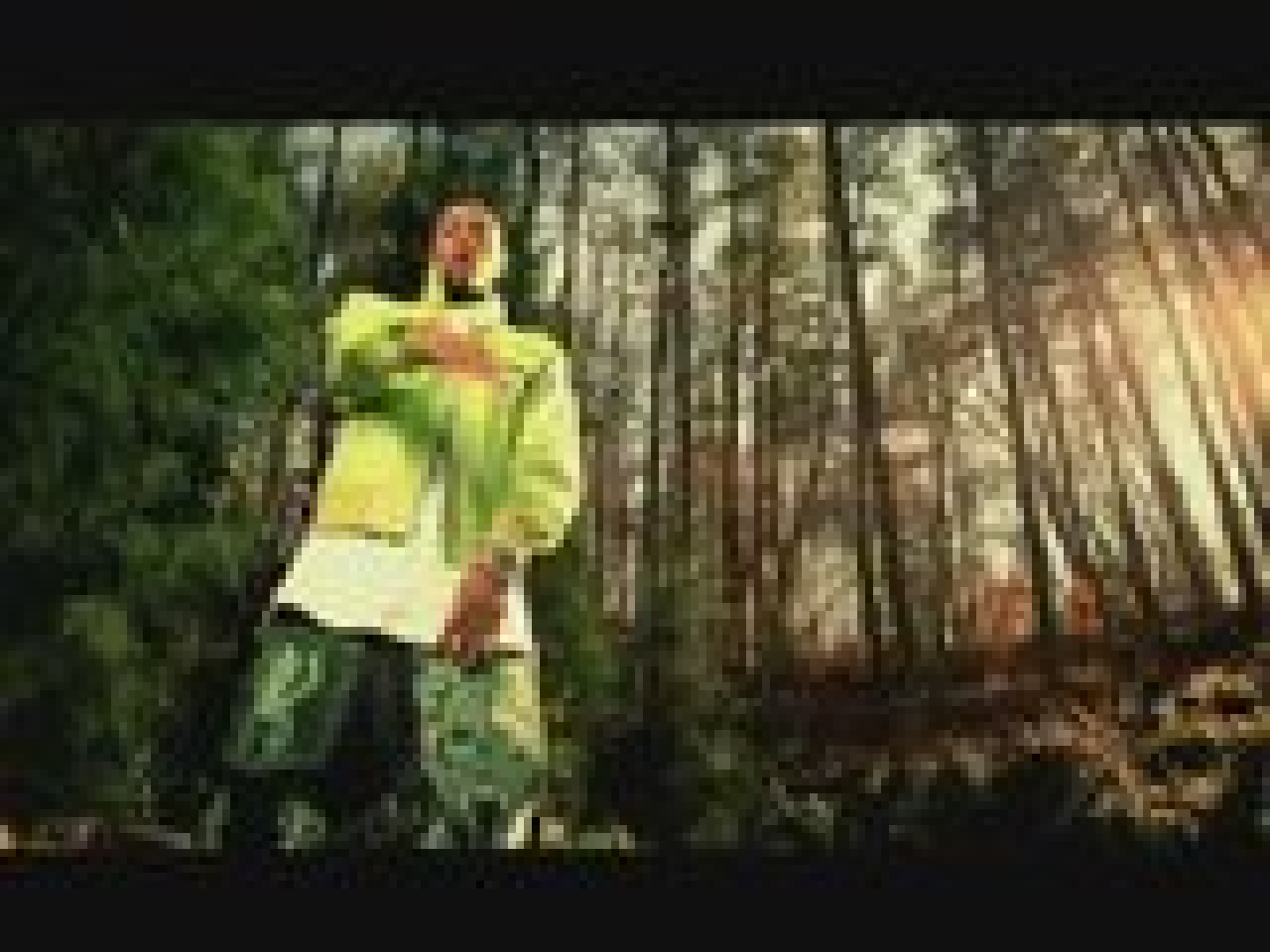 Le nouveau Soulja Boy !! 