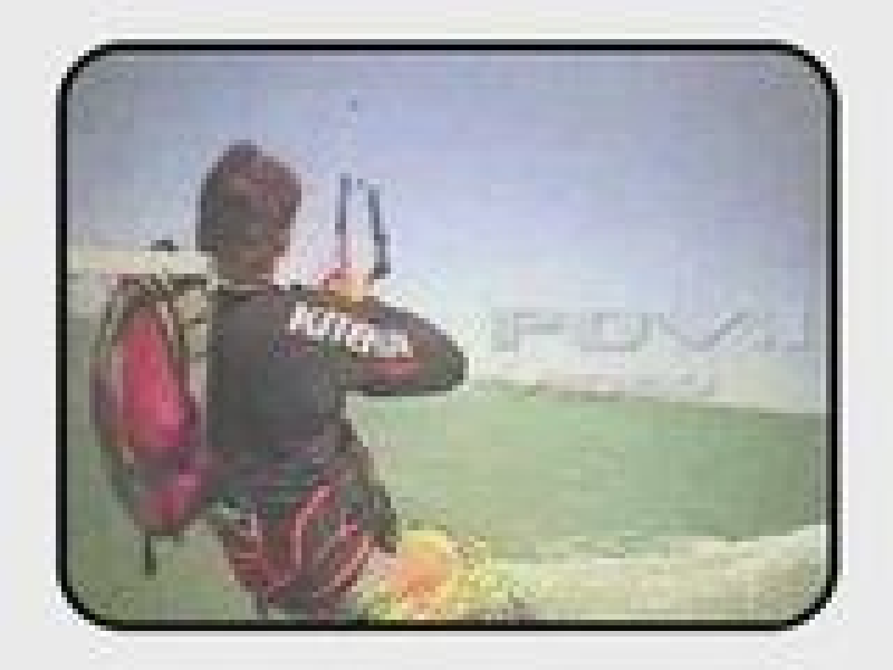 Le zapping du vendredi! 