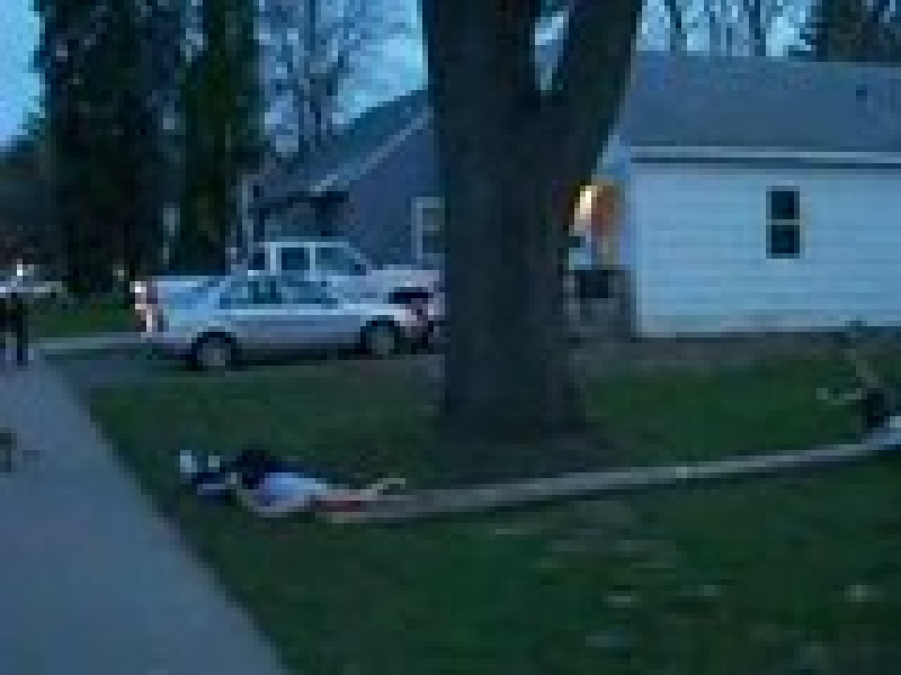 Les rois des abrutis !! 