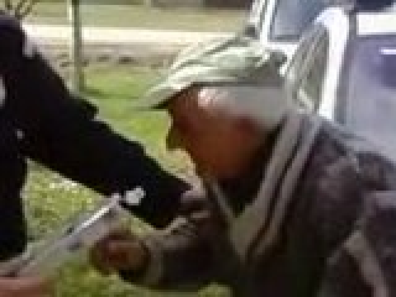 Mal en point, il boit l'alcootest ! Mal en point, il boit l'alcootest !