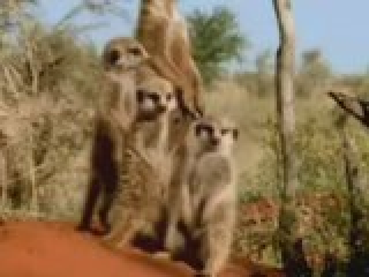 Résumé d'1 semaine de boulot ! 