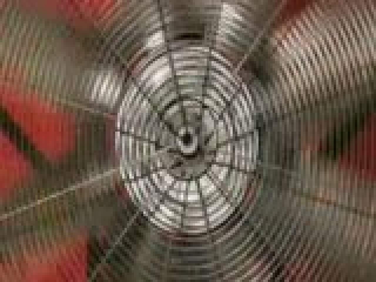 Sheryfa Luna-Ce qu'ils aiment