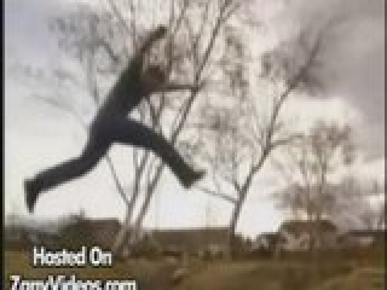 Un cascadeur... d&eacute;butant! 