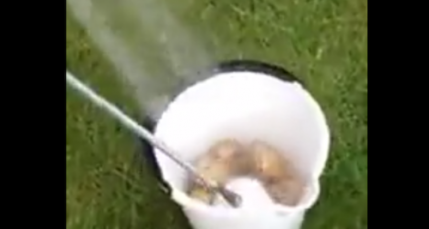 Insolite : comment &eacute;plucher des patates sans effort !