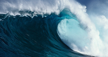 Elle frôle la mort en essayant de surfer une énorme vague ! Elle frôle la mort en essayant de surfer une énorme vague !