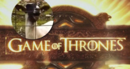 Le générique de Game of Thrones version chèvre Le générique de Game of Thrones version chèvre