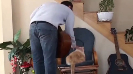 Il maltraite son chat et le regrette aussit&ocirc;t!