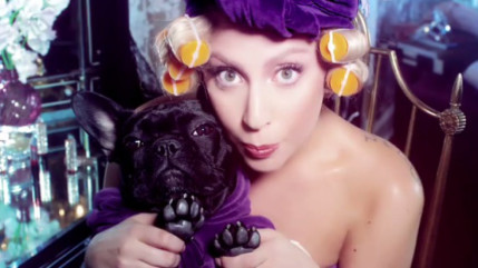 Lady Gaga, nouvelle égérie Shiseido! Lady Gaga, nouvelle égérie Shiseido!