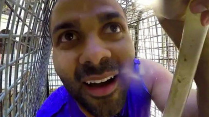 Quand Tony Parker se retrouve face aux tigres... Quand Tony Parker se retrouve face aux tigres...