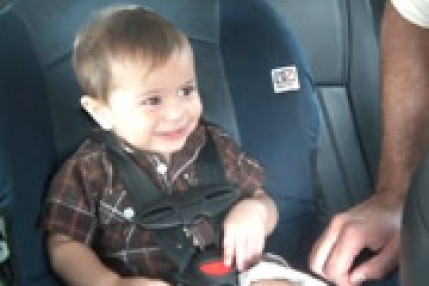 BabyFan de Bob BabyFan de Bob