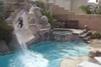 Chien + Toboggan Chien + Toboggan