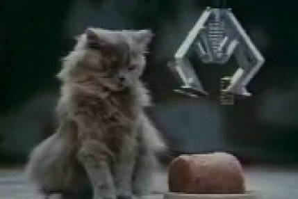 Fido - Le coup de pied au cul !