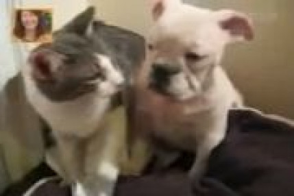 Il l'a pas volé ! Il l'a pas volé !