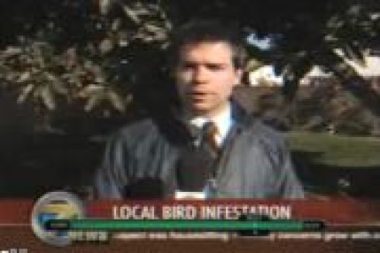 Dentifrice pas cher ! Dentifrice pas cher !