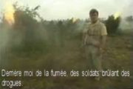 Journaliste et cannabis Journaliste et cannabis