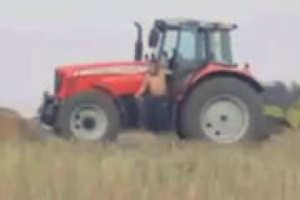 L'homme botte de paille L'homme botte de paille