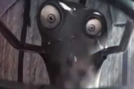 Michael Canitrot - When you got love