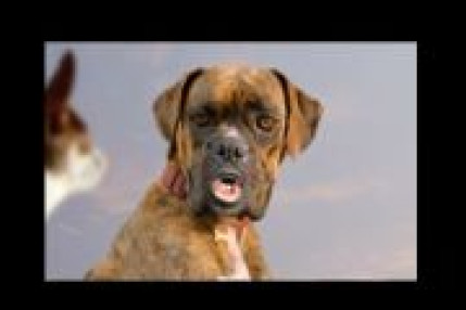 Nouvelle AURIS...La PUB Nouvelle AURIS...La PUB