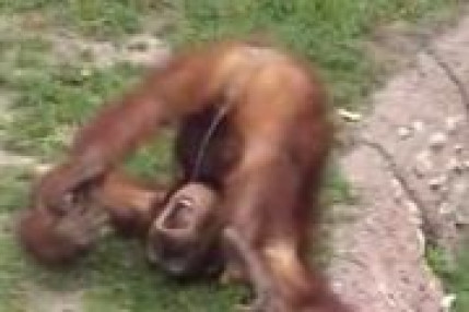 Petite soif Petite soif