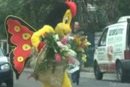 REMI GAILLARD le papillon REMI GAILLARD le papillon