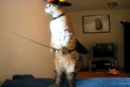 Super Chat ooll&eacute;&eacute;&eacute;&eacute;