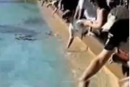 Sympa la douche Sympa la douche