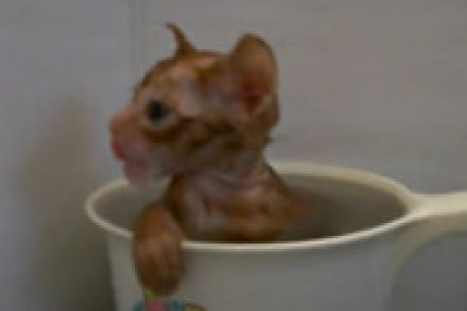 Un tout p'tit bain Un tout p'tit bain