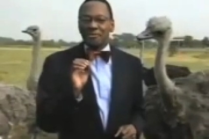 Vraiment dangereux... Vraiment dangereux...