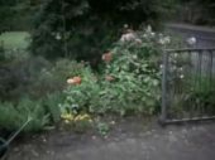 Ca peut éviter des accidents... Ca peut éviter des accidents...