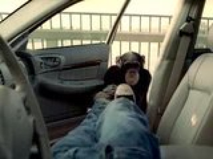 Alarme efficace! Alarme efficace!