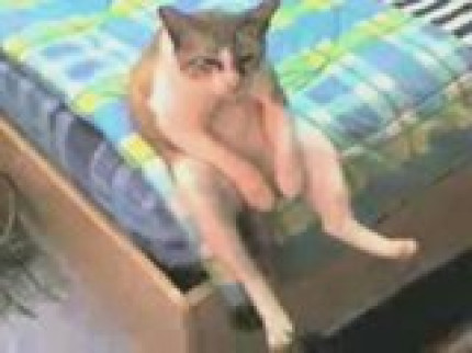 Etre blasé, c'est ça ! Etre blasé, c'est ça !