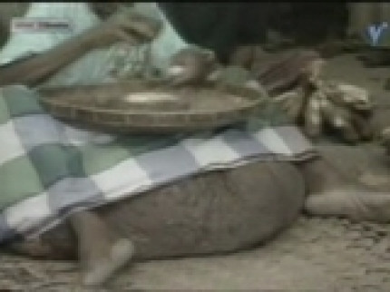 Grosse paire de c.... Grosse paire de c....