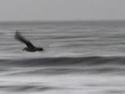 John Dahlback & Basto - Out there 