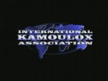 Kamoulox : Demi Finale