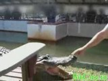 Régis...et le crocodile! Régis...et le crocodile!