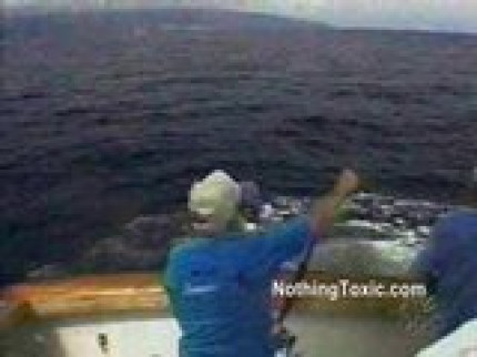 Régis...peche au gros! Régis...peche au gros!