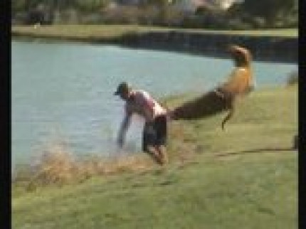 Rémi Gaillard : KANGOUROU Rémi Gaillard : KANGOUROU