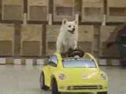 Un étrange automobiliste Un étrange automobiliste