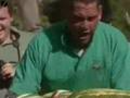 40 pasteques en 1 minute! 40 pasteques en 1 minute!